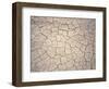 Patterns in Mud Cracks in Drought Area-James Gritz-Framed Photographic Print