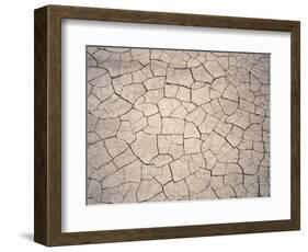 Patterns in Mud Cracks in Drought Area-James Gritz-Framed Photographic Print