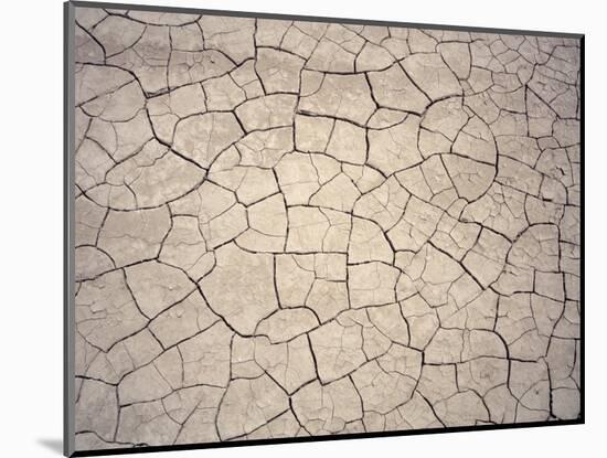 Patterns in Mud Cracks in Drought Area-James Gritz-Mounted Photographic Print