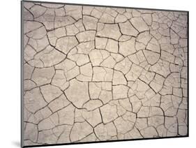 Patterns in Mud Cracks in Drought Area-James Gritz-Mounted Photographic Print