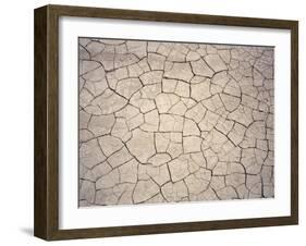 Patterns in Mud Cracks in Drought Area-James Gritz-Framed Photographic Print