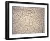 Patterns in Mud Cracks in Drought Area-James Gritz-Framed Photographic Print