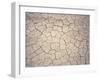 Patterns in Mud Cracks in Drought Area-James Gritz-Framed Photographic Print