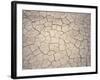 Patterns in Mud Cracks in Drought Area-James Gritz-Framed Photographic Print