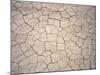 Patterns in Mud Cracks in Drought Area-James Gritz-Mounted Photographic Print