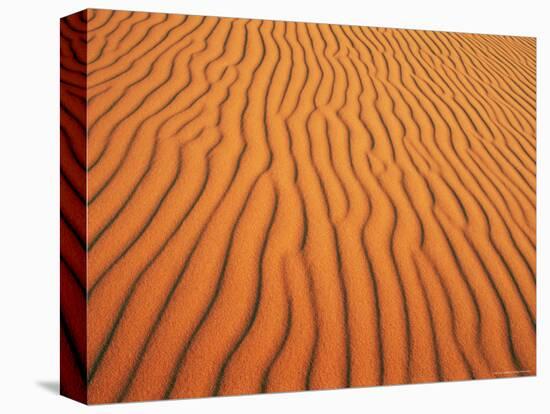 Patterns in Sand Dunes in Erg Chebbi Sand Sea, Sahara Desert, Near Merzouga, Morocco-Lee Frost-Stretched Canvas