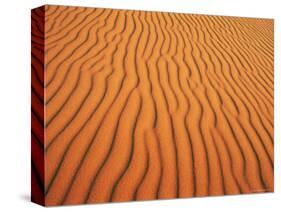 Patterns in Sand Dunes in Erg Chebbi Sand Sea, Sahara Desert, Near Merzouga, Morocco-Lee Frost-Stretched Canvas