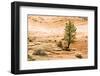 Patterns in Sandstone-jimsphotos-Framed Photographic Print