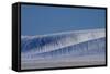 Patterns in Snow Covered Wheat Fields-Terry Eggers-Framed Stretched Canvas
