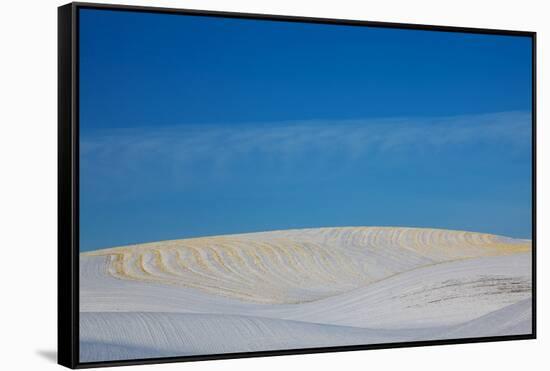 Patterns in Snow Covered Wheat Fields-Terry Eggers-Framed Stretched Canvas