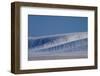 Patterns in Snow Covered Wheat Fields-Terry Eggers-Framed Photographic Print