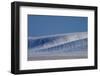 Patterns in Snow Covered Wheat Fields-Terry Eggers-Framed Photographic Print