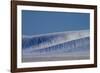 Patterns in Snow Covered Wheat Fields-Terry Eggers-Framed Photographic Print