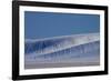 Patterns in Snow Covered Wheat Fields-Terry Eggers-Framed Photographic Print