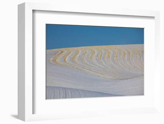 Patterns in Snow Covered Wheat Fields-Terry Eggers-Framed Photographic Print