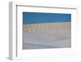 Patterns in Snow Covered Wheat Fields-Terry Eggers-Framed Photographic Print