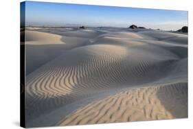 Patterns in the dunes at Sand Dollar Beach, Magdalena Island, Baja California Sur, Mexico-Michael Nolan-Stretched Canvas