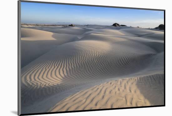Patterns in the dunes at Sand Dollar Beach, Magdalena Island, Baja California Sur, Mexico-Michael Nolan-Mounted Photographic Print