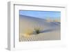 Patterns in White Sand-JuneJ-Framed Photographic Print