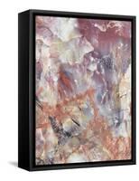 Patterns of a Petrified Rock Formation. Petrified Forest National Park-Christopher Talbot Frank-Framed Stretched Canvas