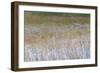 Patterns Of Grasses Along An Unnamed Marsh In Torres Del Paine National Park Chile, South America-Jay Goodrich-Framed Photographic Print