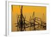 Patterns of Reeds in Lake at Sunset-null-Framed Photographic Print