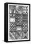 Patterns Of The Amazon IV BW-Kathrine Lovell-Framed Stretched Canvas