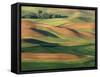 Patterns of Wheat and Fallow from Steptoe Butte, Whitman County, Washington, USA-Julie Eggers-Framed Stretched Canvas