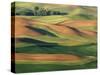 Patterns of Wheat and Fallow from Steptoe Butte, Whitman County, Washington, USA-Julie Eggers-Stretched Canvas