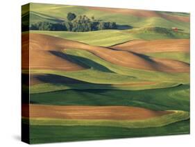 Patterns of Wheat and Fallow from Steptoe Butte, Whitman County, Washington, USA-Julie Eggers-Stretched Canvas