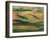 Patterns of Wheat and Fallow from Steptoe Butte, Whitman County, Washington, USA-Julie Eggers-Framed Photographic Print