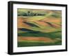 Patterns of Wheat and Fallow from Steptoe Butte, Whitman County, Washington, USA-Julie Eggers-Framed Photographic Print