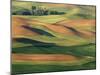 Patterns of Wheat and Fallow from Steptoe Butte, Whitman County, Washington, USA-Julie Eggers-Mounted Photographic Print