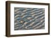 Patterns on the Beach, Great Island Common, New Castle, New Hampshire-Jerry & Marcy Monkman-Framed Photographic Print