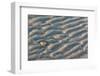 Patterns on the Beach, Great Island Common, New Castle, New Hampshire-Jerry & Marcy Monkman-Framed Photographic Print