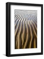 Patterns on wet sandy beach at low tide, Northumberland, England, july-David Tipling-Framed Photographic Print