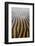 Patterns on wet sandy beach at low tide, Northumberland, England, july-David Tipling-Framed Photographic Print