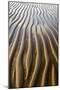Patterns on wet sandy beach at low tide, Northumberland, England, july-David Tipling-Mounted Photographic Print
