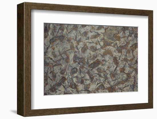 Patterns Within Caithness Stone, Flow Country, Forsinard, Caithness, Highland, Scotland, UK, June-Peter Cairns-Framed Photographic Print