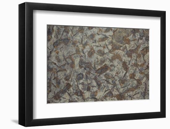 Patterns Within Caithness Stone, Flow Country, Forsinard, Caithness, Highland, Scotland, UK, June-Peter Cairns-Framed Photographic Print