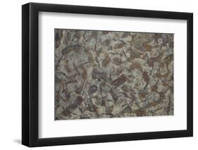 Patterns Within Caithness Stone, Flow Country, Forsinard, Caithness, Highland, Scotland, UK, June-Peter Cairns-Framed Photographic Print