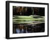 Patterson Golf Course, Failfield, Connecticut, USA-null-Framed Premium Photographic Print