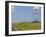 Patterson Uti Oil Drilling Rig Along Highway 200 West of Killdeer, North Dakota, USA-David R. Frazier-Framed Premium Photographic Print