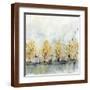 Brown Frame