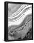 Essential Black