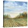 Stretched Canvas