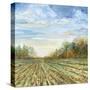 Stretched Canvas