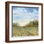 Brown Frame