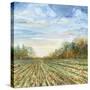 Stretched Canvas