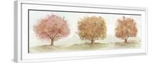 White Frame